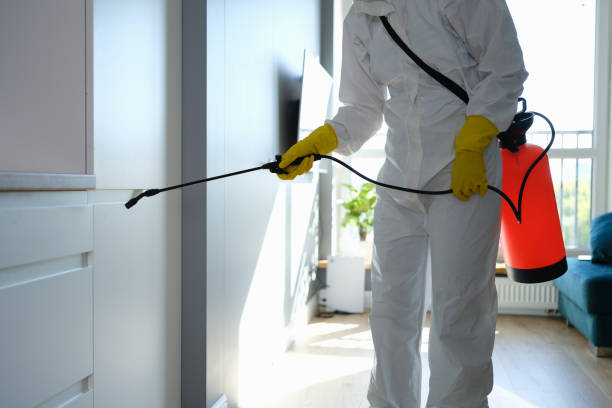 Best White Mold Remediation in Oregon, IL